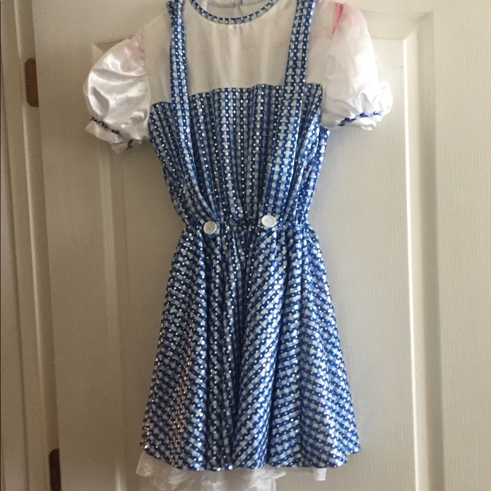 Dorothy Wizard of Oz costume
